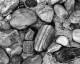 Sterling Silver Pebble Drop Earrings | Silver Sculptor